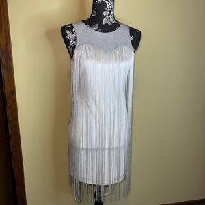 Elegant Silver Fringe Dress